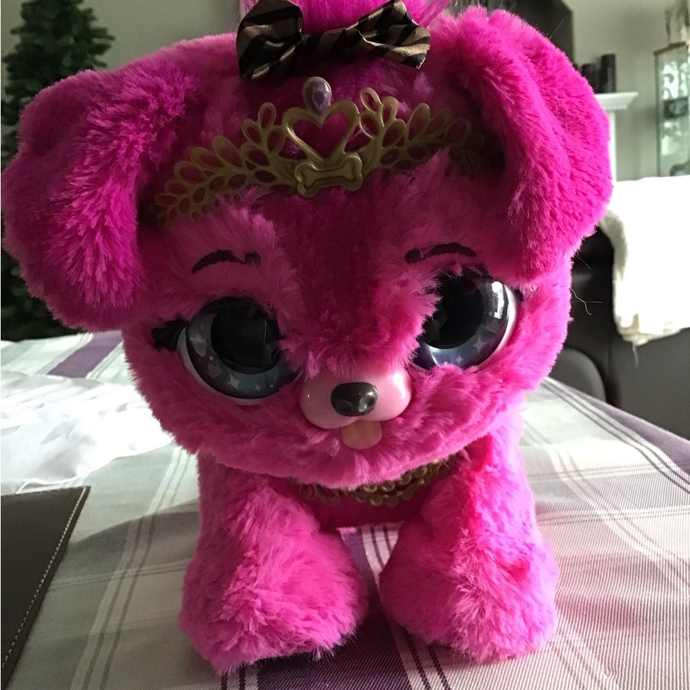 Kids Present Pet Princess Puppy